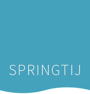 Springtij Advies Logo